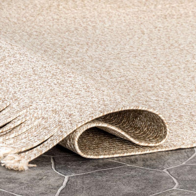 Nuloom Braided Courtney Tassel Indoor/Outdoor Area Rug, 3' x 5', Tan