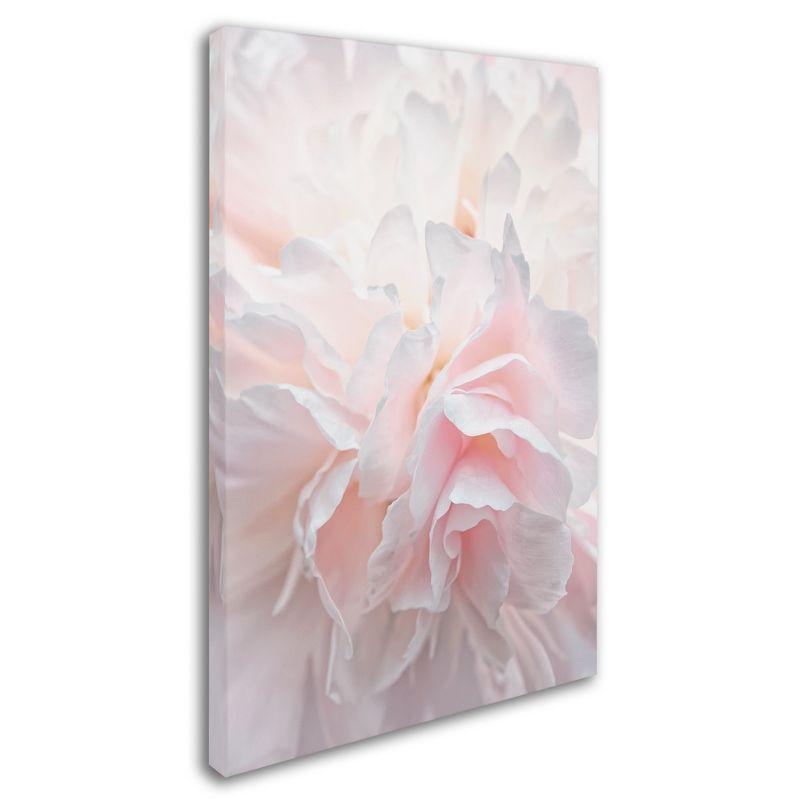 Pink Peony Petals IV 16x24 Canvas Wall Art