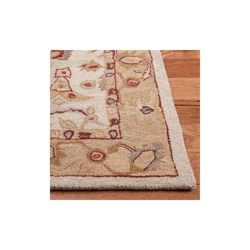 Anatolia AN543 Hand Tufted Area Rug  - Safavieh