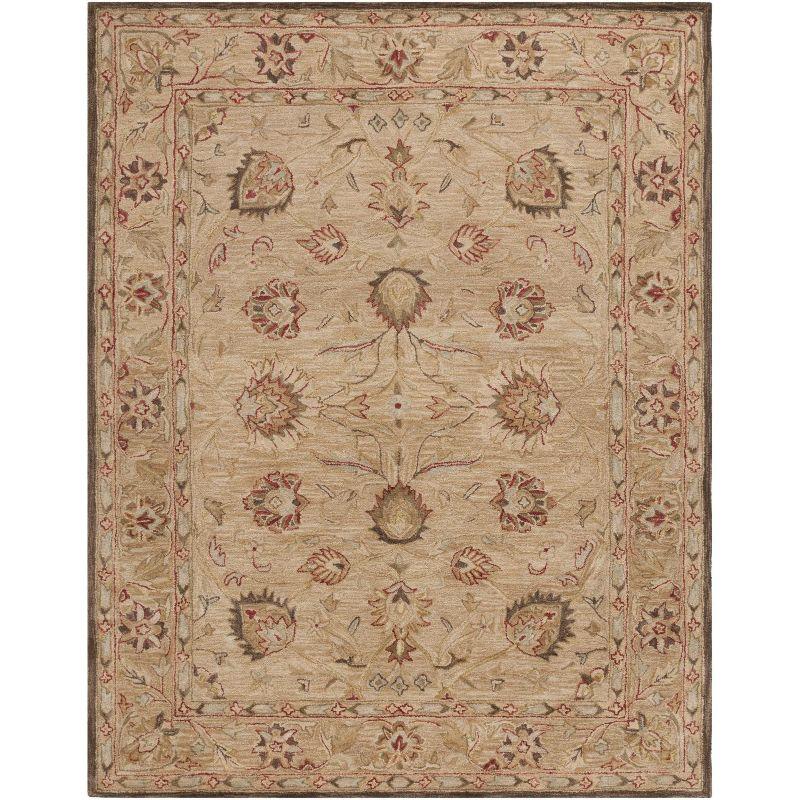 Anatolia AN512 Hand Tufted Indoor Area Rug - Beige/Beige - 11'x15' - Safavieh