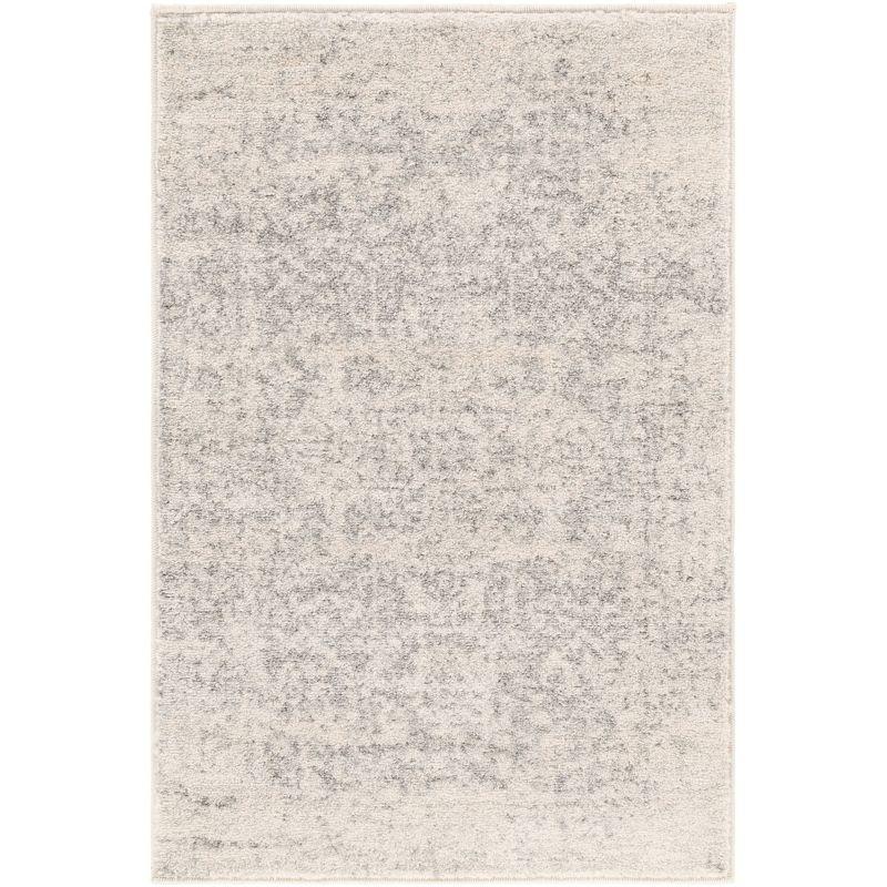 Prisha Rug - Stone / 2' x 3'