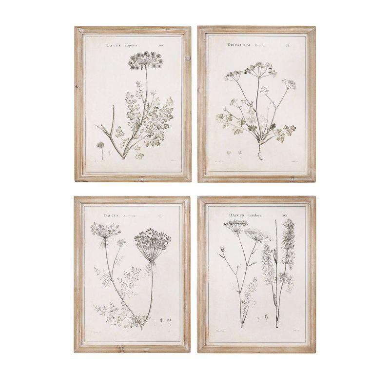 17.7" x 23.6" (Set of 4) Styles Vintage Botanical Printed Framed Wall Art Brown - 3R Studios: Distressed Wood Frame, Autumn Decor