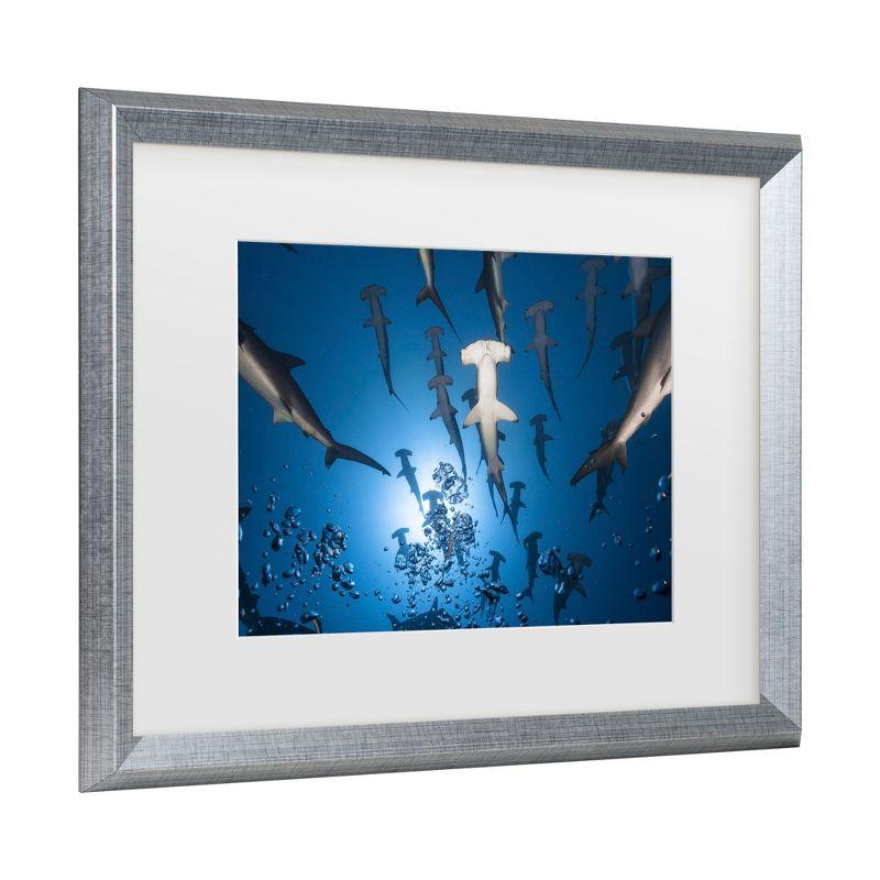 Trademark Fine Art - Barathieu Gabriel Hammerhead Shark Matted Framed Art