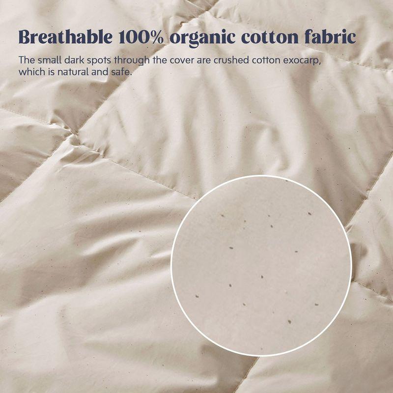 Puredown All Season Organic Cotton Down Comforter - 100% Natural, Chemical-Free, Medium Warmth Duvet Insert, Off-white, Full/Queen