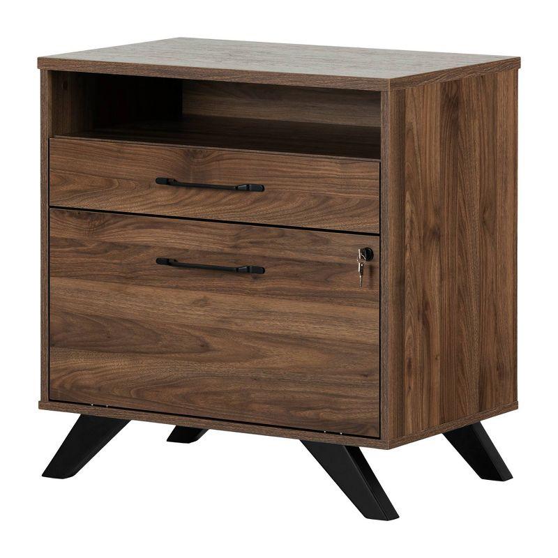 Boneita 29'' Wide 2 -Drawer File Cabinet