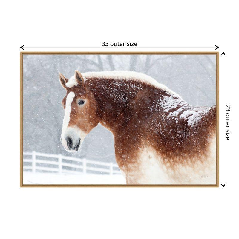 Amanti Art Snowy Draft Horse by Sue Schlabach Framed Canvas Wall Art