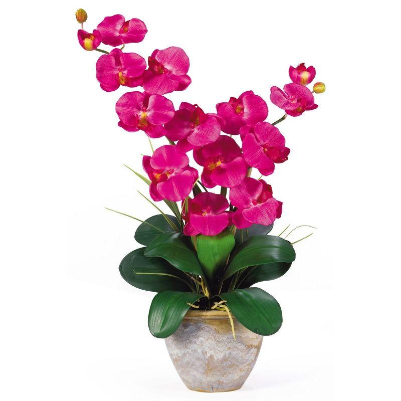 Nearly Natural Double Phalaenopsis Silk Orchid Flower Arrangement, Beauty