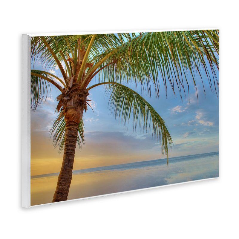 Stupell Industries " Sunrise Palm Tree Sky Reflection " by Jack Reed