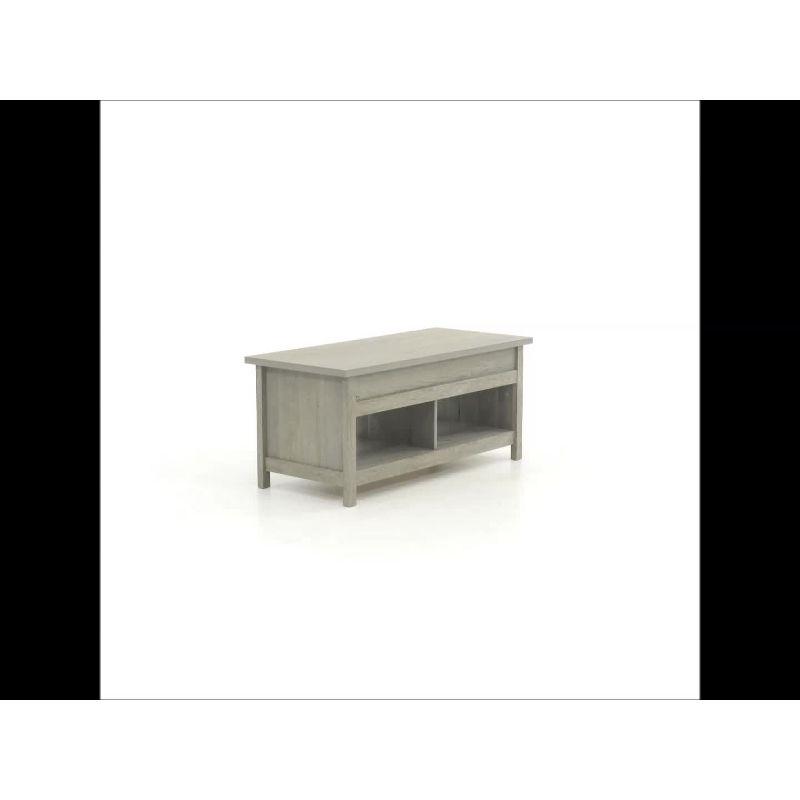 Sauder Modern Lift-top Coffee Table
