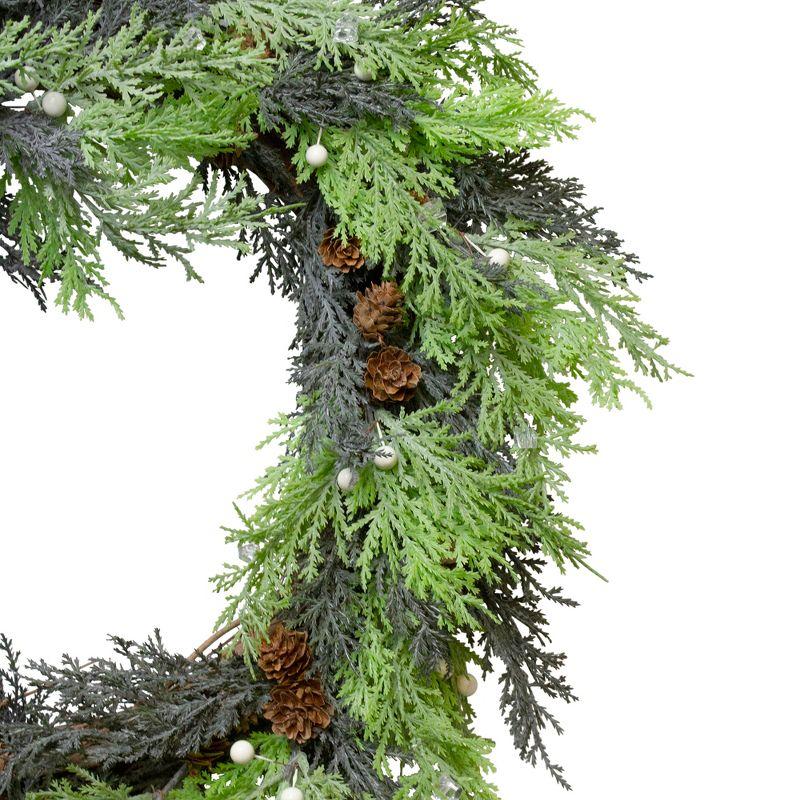 Northlight Traditional Pine Cone and Berry Christmas Wreath - 24-Inch