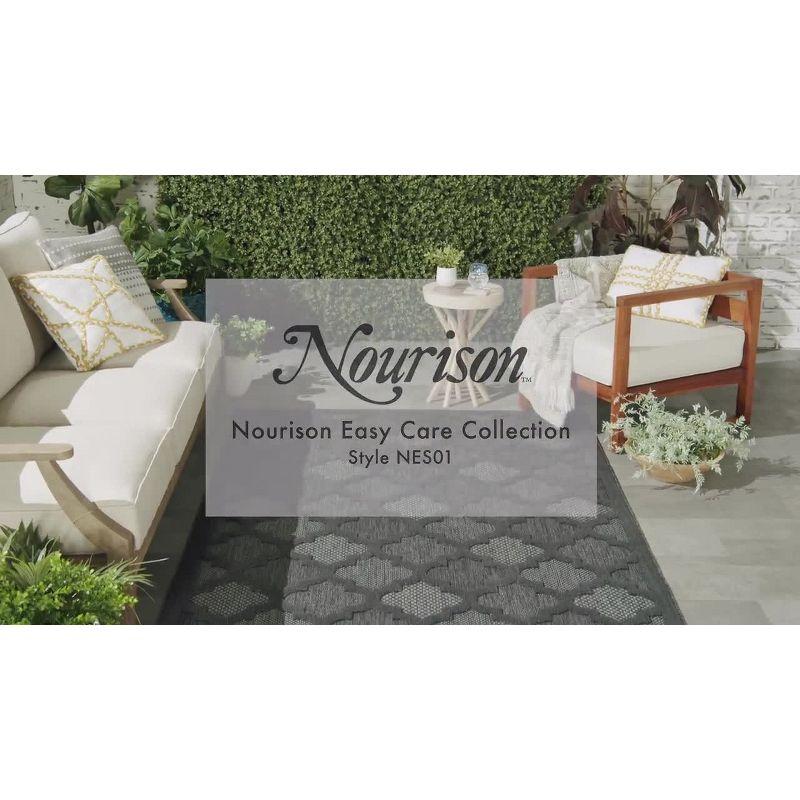 Nourison Trellis Outdoor Rug