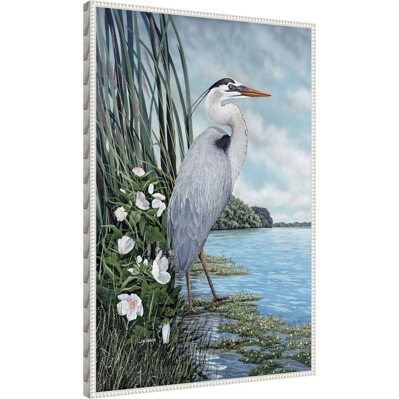 Amanti Art Great Blue Heron by James Harris Canvas Wall Art Print Framed 23 x 33-in.