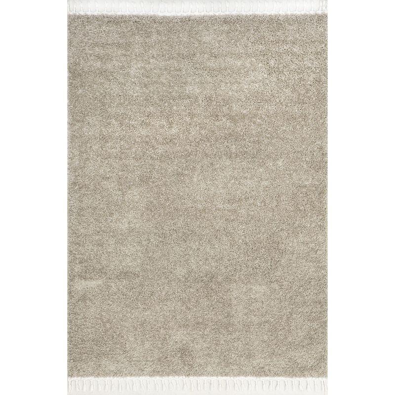 Braided Beige Rectangular Shag Area Rug with Tassels