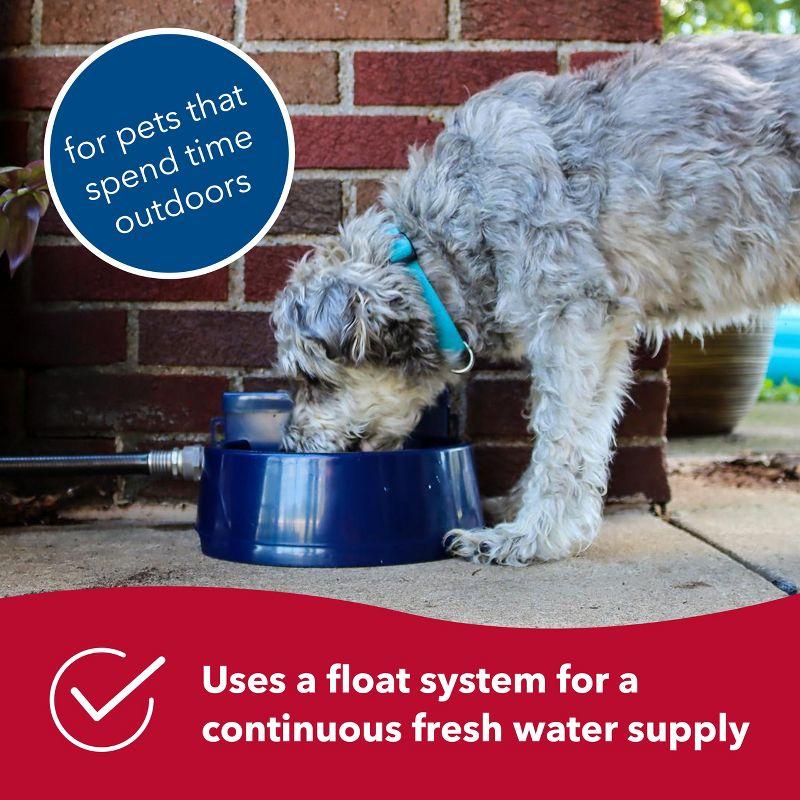 Coastal Pet Bergan Auto-Wata - Backyard & Patio Automatic Water Bowl - Navy - 1.5 qts / 48 oz