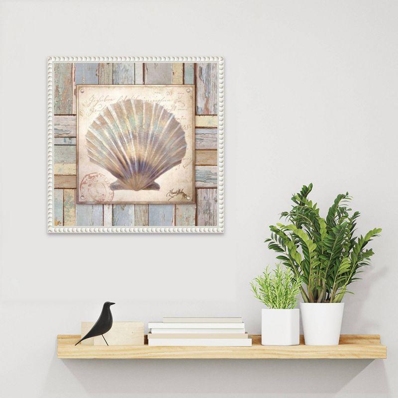 Amanti Art 16"x16" Beach Shell I by Elizabeth Medley: Coastal Nautical Wall Decor, Modern Style