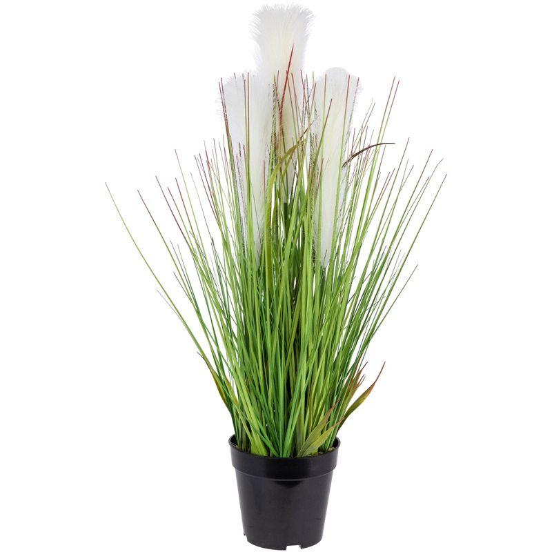 36" Tall Artificial Green and White Pampas Grass in Black Pot