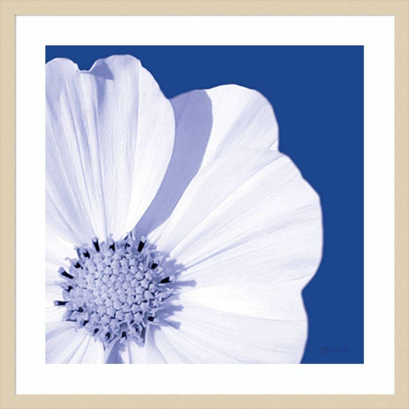 Amanti Art Flower Pop Blue III by Marie Elaine Cusson Framed Wall Art Print