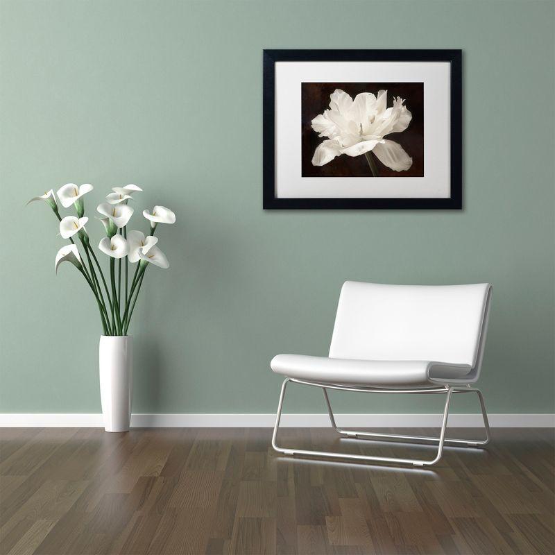 Trademark Fine Art - Cora Niele 'White Tulip I' Matted Framed Art