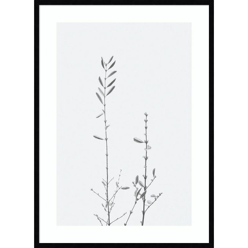 41"x30" Black and White Botanical Lithograph with Black Frame