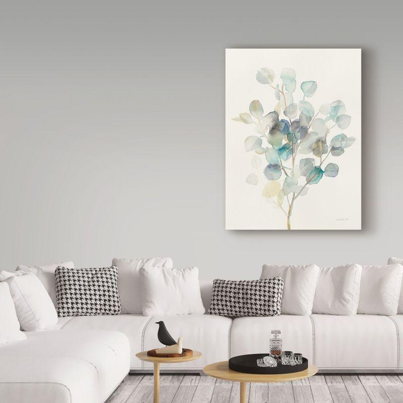 Trademark Fine Art -Danhui Nai 'Eucalyptus III' Canvas Art