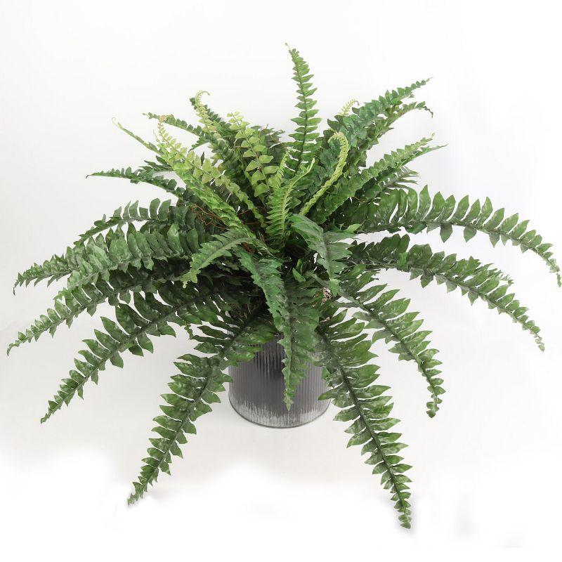 Floral Home 34" Wide Boston Fern with 42 Lifelike Fronds - 6-Piece