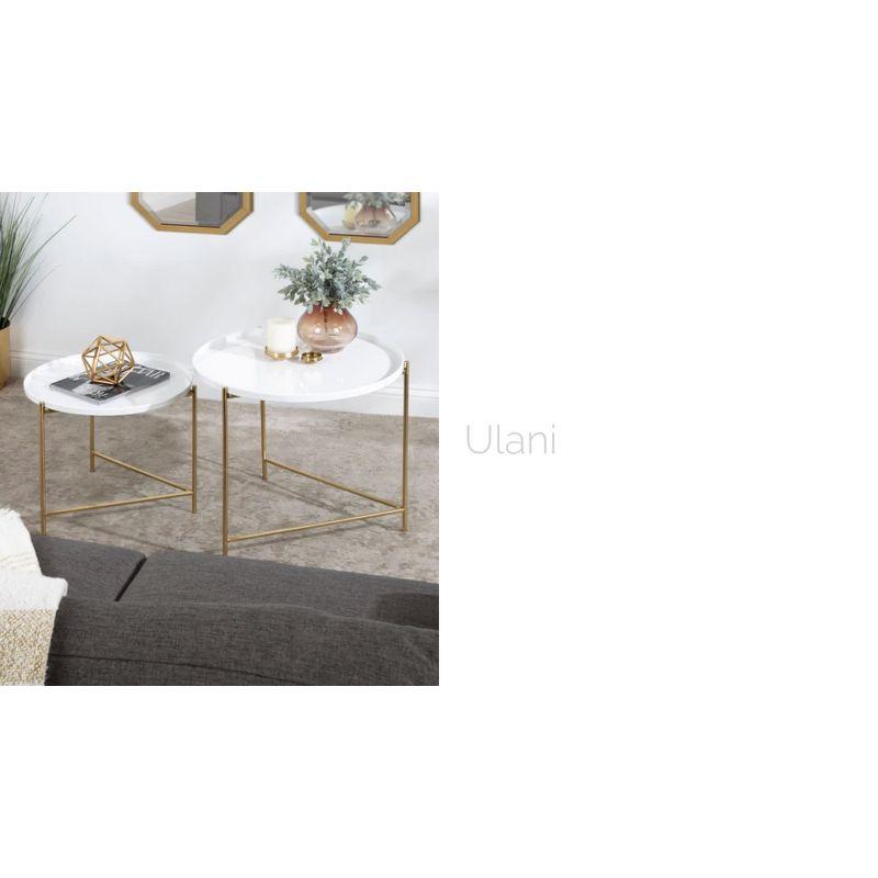 Kate and Laurel Ulani Round Wood Nesting Table, 2 Piece, Walnut Brown and Gold