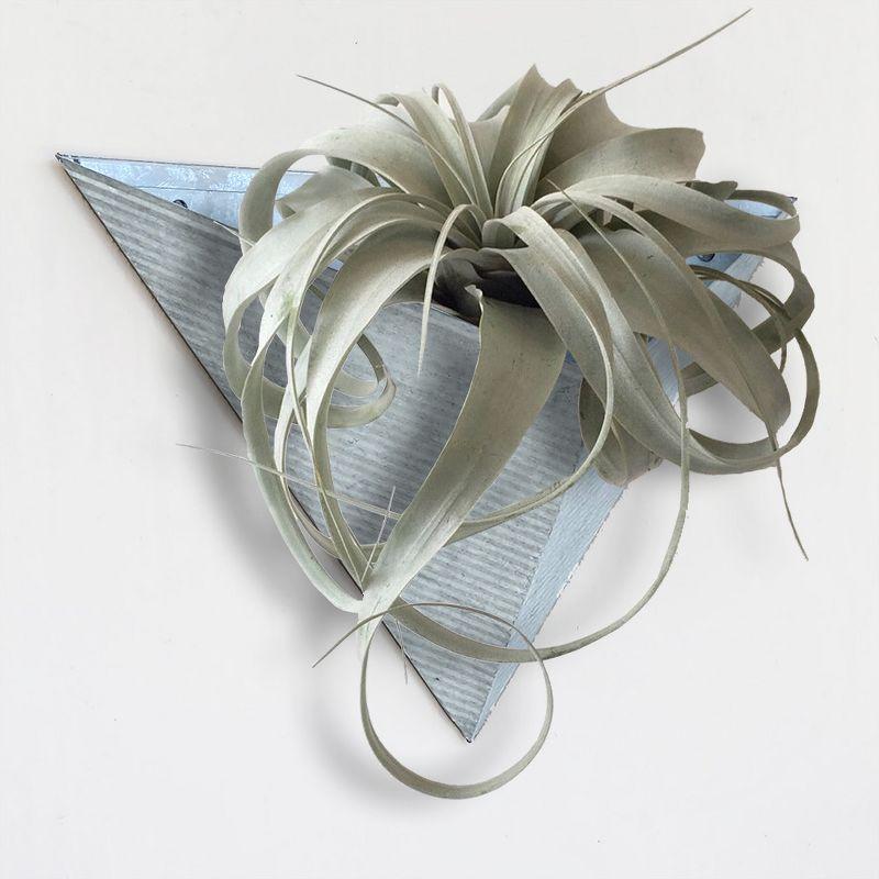 Modern Home Living Wall Galvanized Steel/Zinc Triangular Succulent/Herb Planter (Aged Zinc, Set of 3)