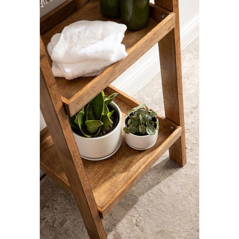 Rustic Brown Solid Wood Ladder Shelf with Two Tiers