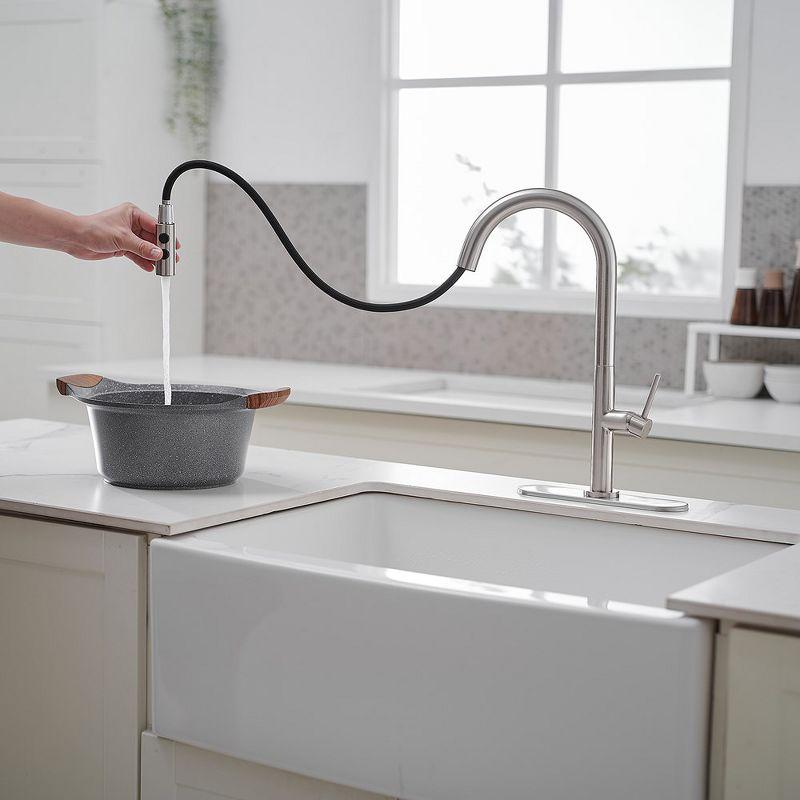 VIBRANTBATH Pull Out Kitchen Faucet