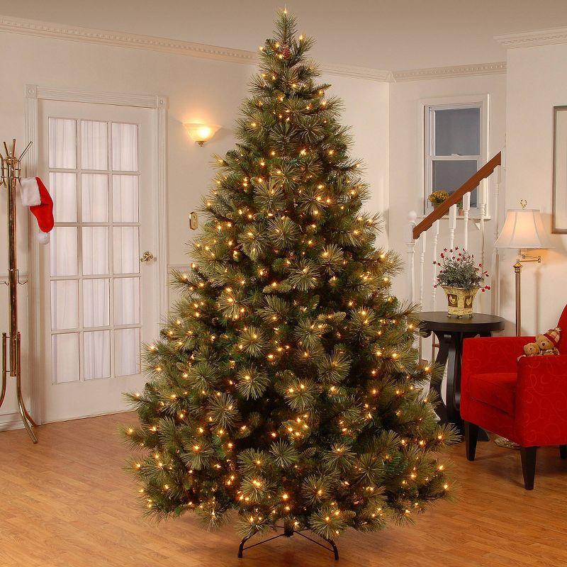 National Tree Company 9' Pre-lit Carolina Pine Artificial Christmas Tree with Clear Lights