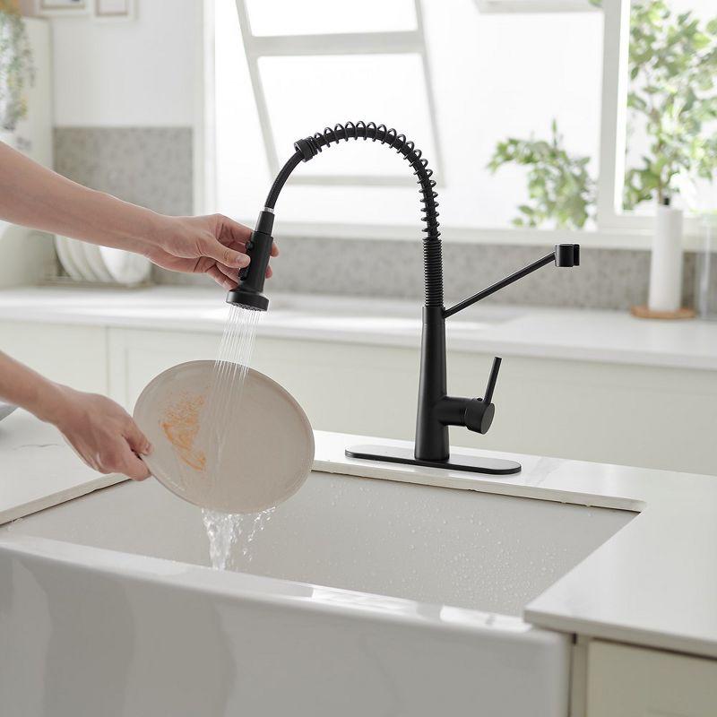 Single-Handle Pull-Down Sprayer 2 Spray High Arc Kitchen Faucet With Deck Plate