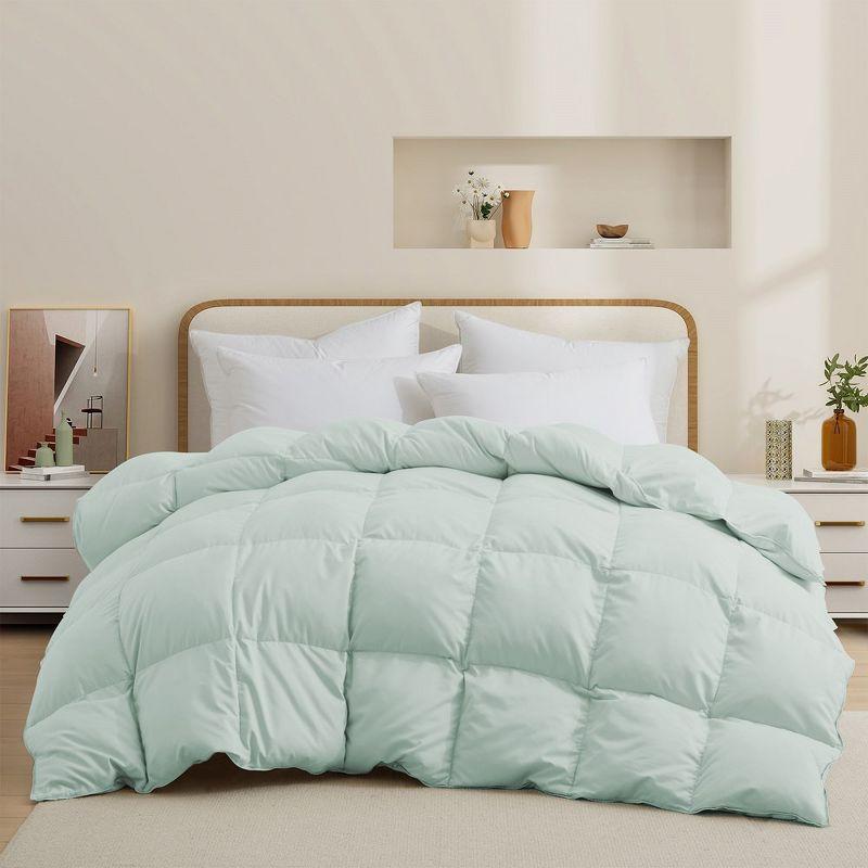 600 Fill Power All Season Down Comforter Duvet Insert