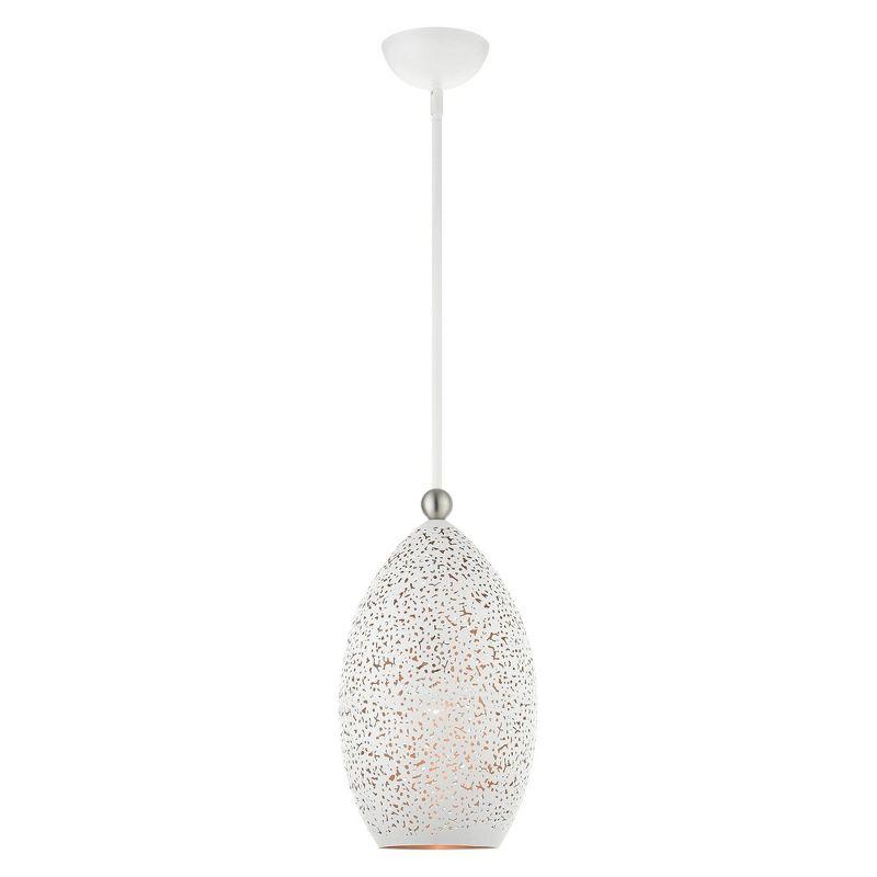 1 - Light Unique/Statement Pendant