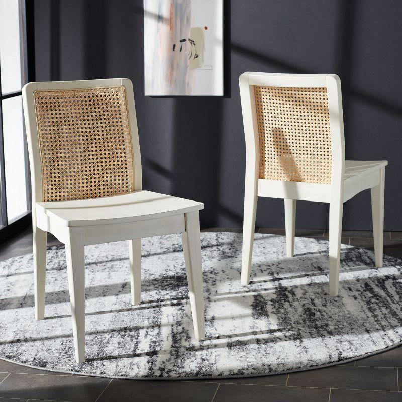 Benicio White and Natural Rattan Coastal Side Chair