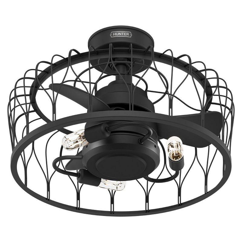 Hunter 36 Inch Rotonda Ceiling Fan With Lights And Remote