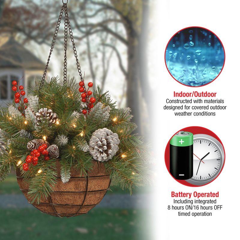 20" Prelit LED Frosted Berry Hanging Basket Warm White Lights - National Tree Company