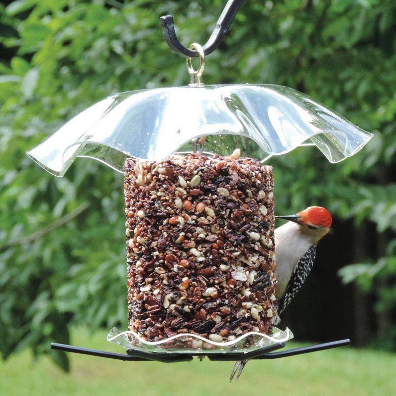 Clear Acrylic Hanging Seed Cylinder Bird Feeder