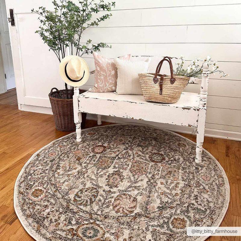 Charli Persian-Style Performance Rug