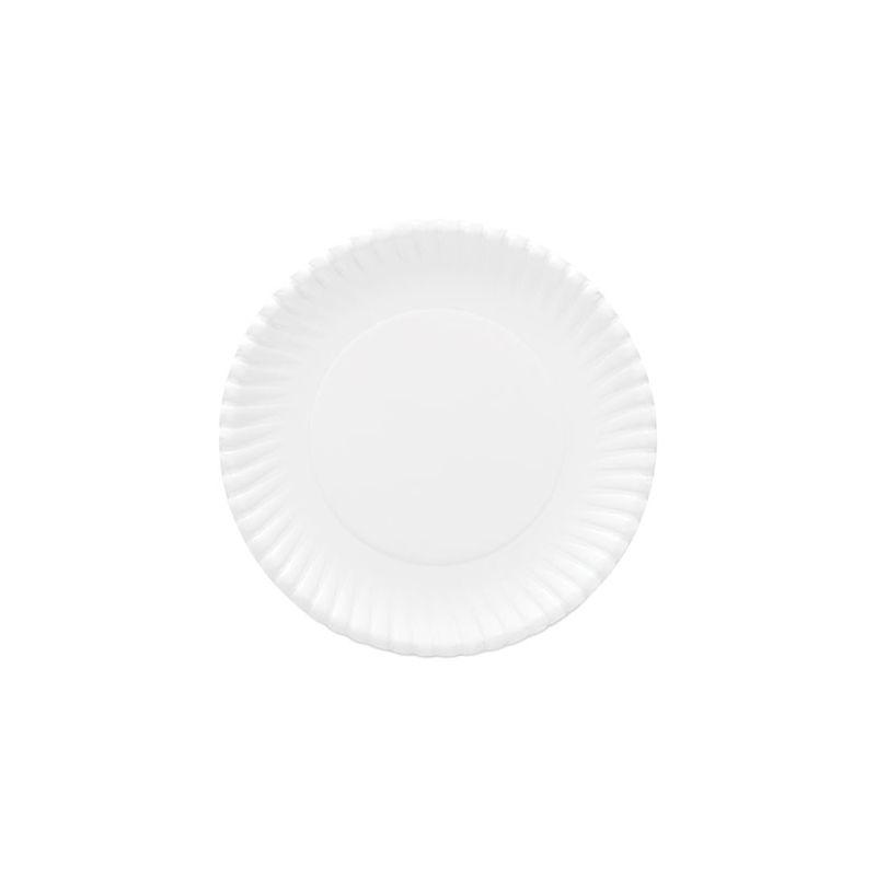 White 9" Heavyweight Coated Paper Plates, 120 Pack