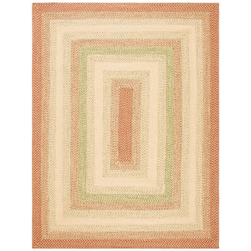 Braided BRD303 Hand Woven Area Rug  - Safavieh