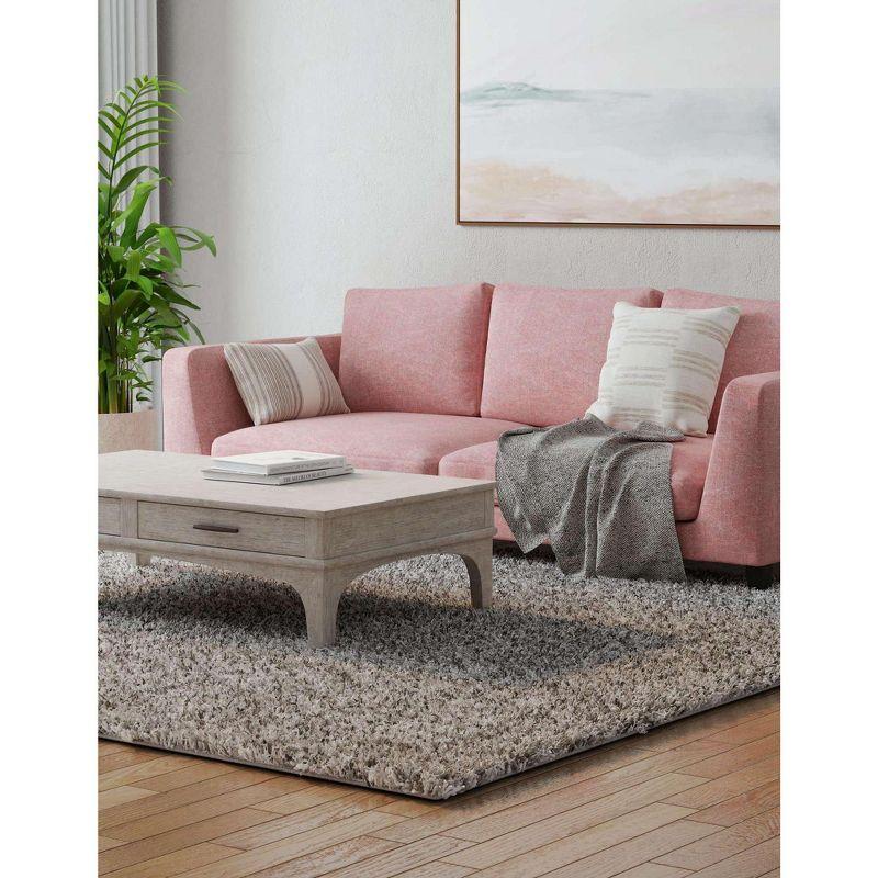 Cloud Gray Solid Shag 4' x 6' Easy Care Area Rug