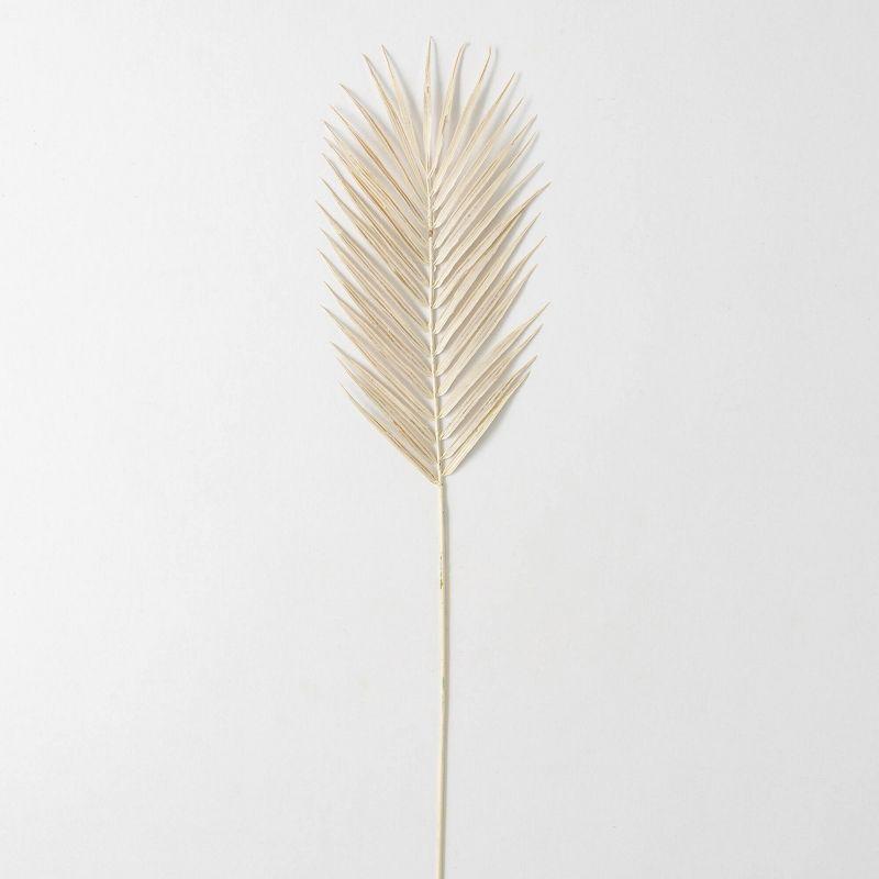 Off-White Faux Dried Fern Stem 34"