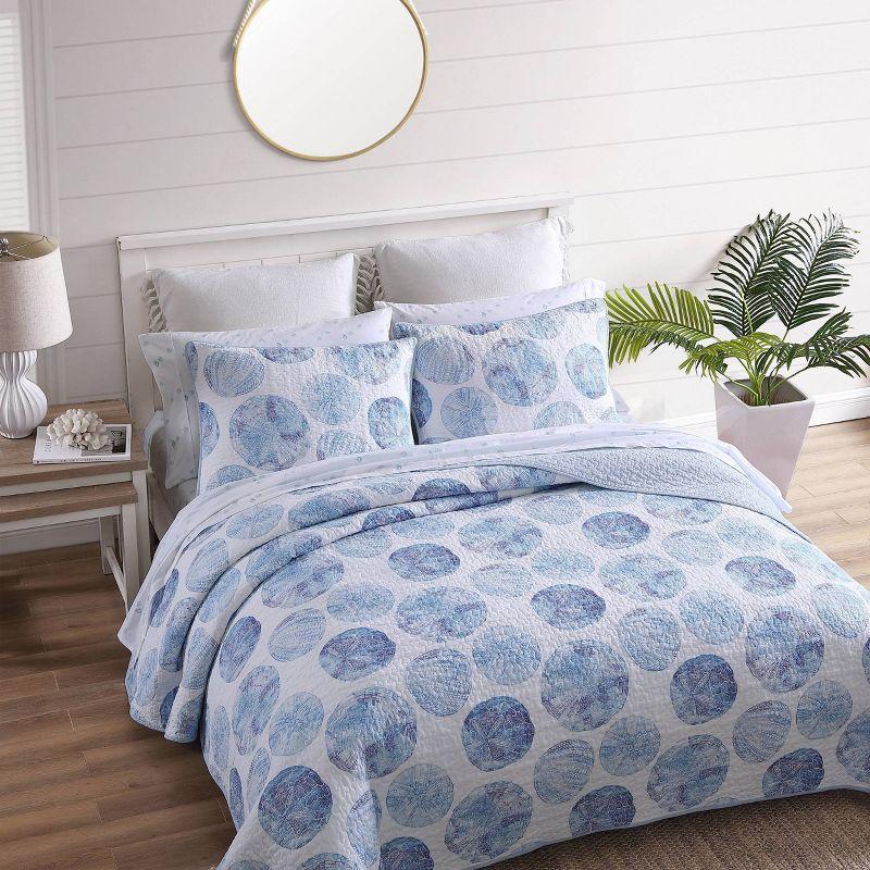 Seashell Whisper King-Size Blue Cotton Reversible Quilt Set