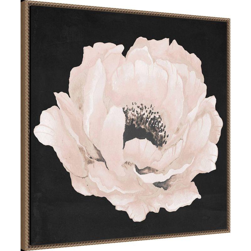 30"x30" Pink Flower on Black II by Elizabeth Medley Framed Canvas Wall Art Print Bronze - Amanti Art: Modern Botanical Lithograph