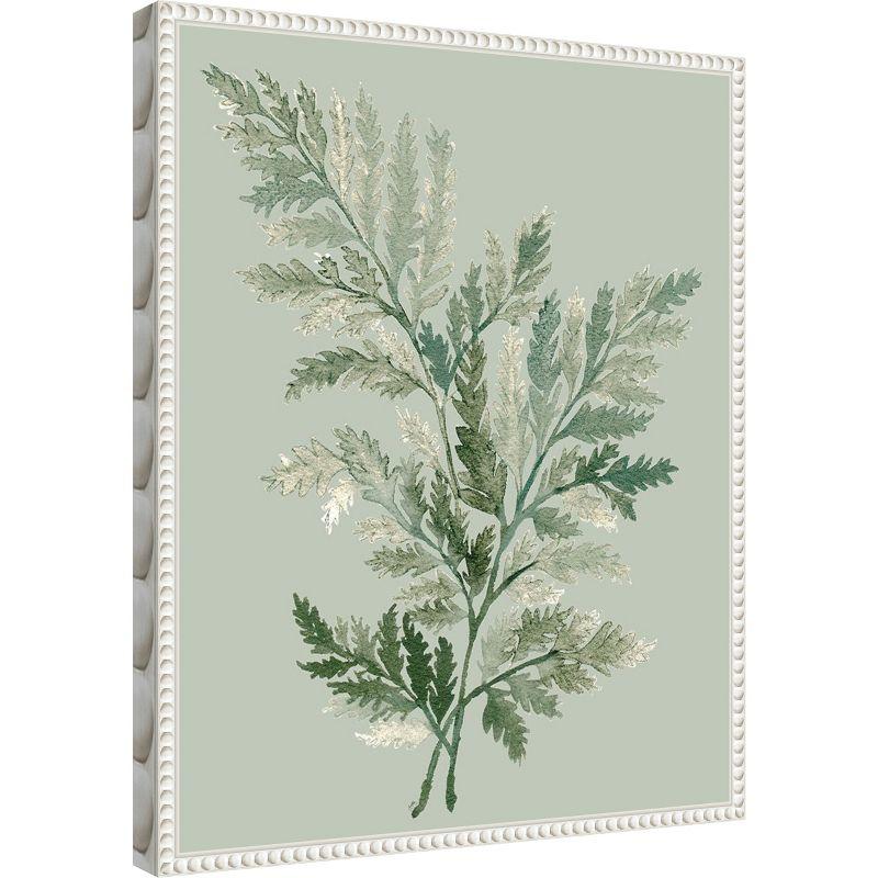 Amanti Art Tonal Green Ferns I by Elizabeth Medley Canvas Wall Art Print Framed 16 x 20-in.