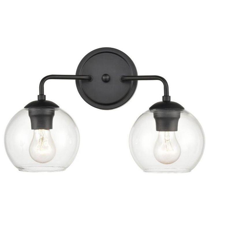 Matte Black Glass Globe 2-Light Vanity Fixture