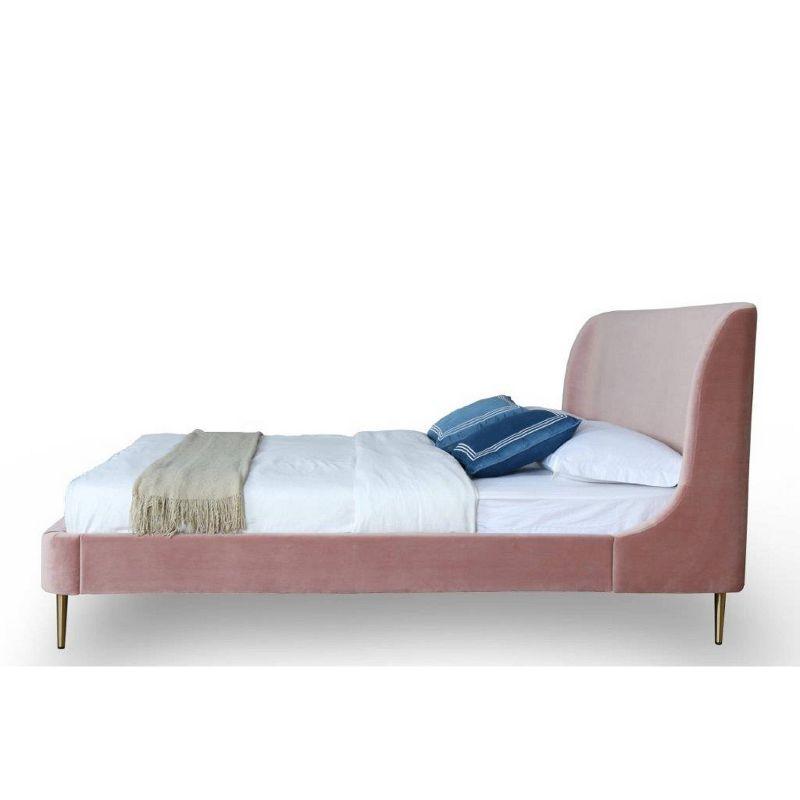 Blush Velvet Upholstered Queen Bed with Gold Legs