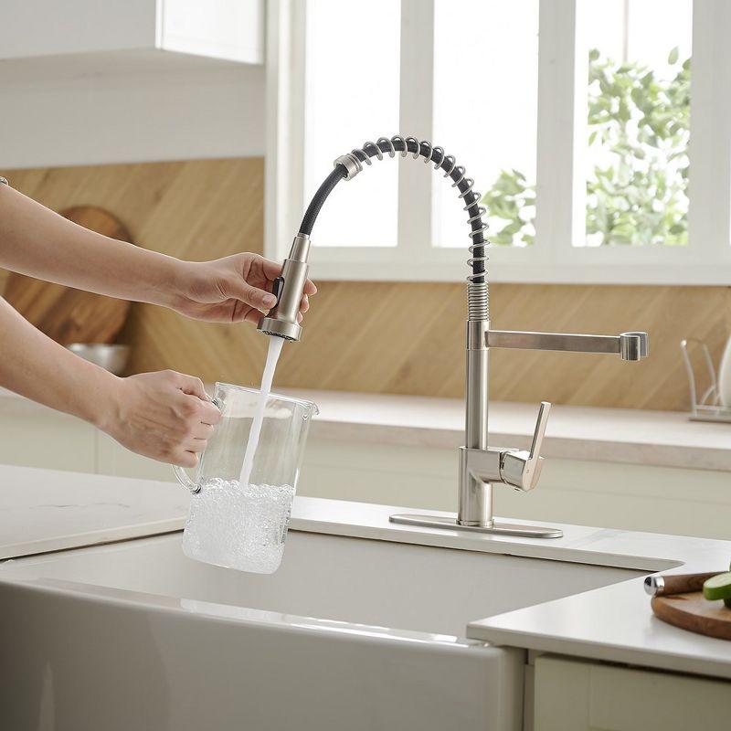 Pull Down Single Handle Kitchen Faucet with Accessories