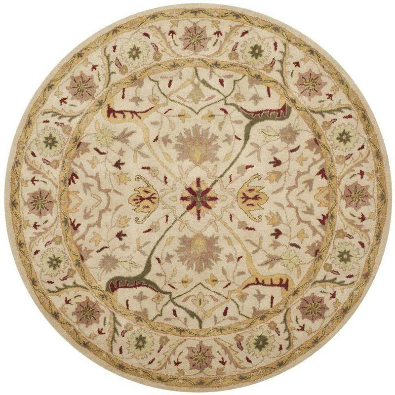 Antiquity AT14 Hand Tufted Area Rug  - Safavieh