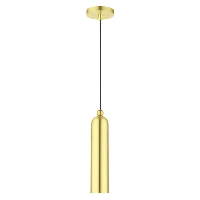 Elegant Satin Brass LED Pendant Light for Indoor/Outdoor Use